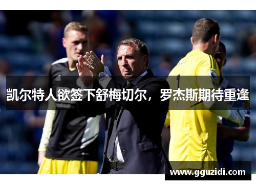 凯尔特人欲签下舒梅切尔，罗杰斯期待重逢