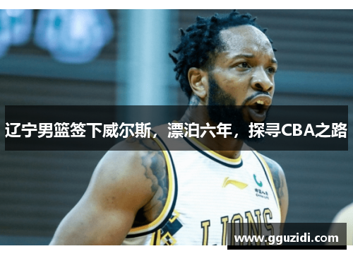 辽宁男篮签下威尔斯,漂泊六年,探寻CBA之路 辽宁男篮签下威尔斯,漂泊六年,探寻CBA之路